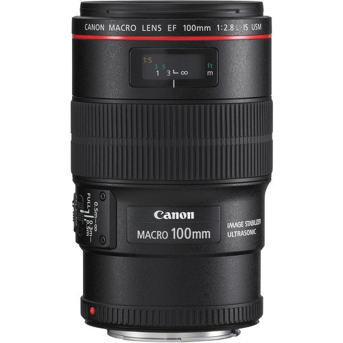 Canon EF 100mm f/2.8 Macro